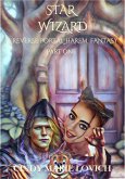 Star Wizard 1: A Reverse Portal Harem Fantasy (eBook, ePUB)