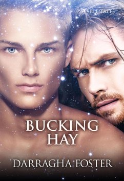 Bucking Hay (eBook, ePUB) - Foster, Darragha