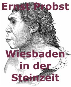 Cover Wiesbaden in der Steinzeit (eBook, ePUB)