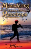 Meandering Between The Raindrops (eBook, ePUB)