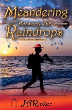 Cover Meandering Between The Raindrops (eBook, ePUB)