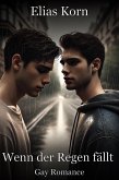 Wenn der Regen fällt: Gay Romance (eBook, ePUB)