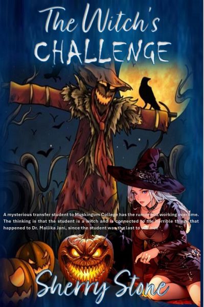 The Witch's Challenge (eBook, ePUB)