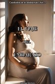 El viaje del embarazo (Cuidados en el embarazo, #2) (eBook, ePUB) El viaje del embarazo (Cuidados en el embarazo, #2) (eBook, ePUB)