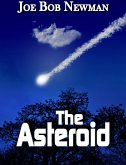 The Asteroid (eBook, ePUB)