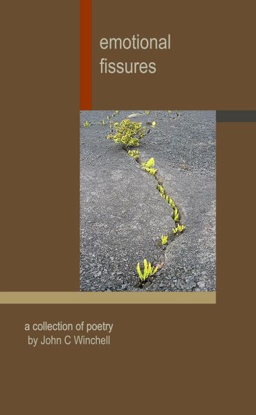 Emotional Fissures: A Collection of Poetry (eBook, ePUB)