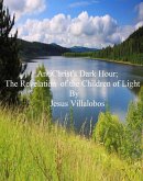 AntiChrist's Dark Hour The Revelation of the Children of Light (AntiChrist's Birth, #4) (eBook, ePUB) AntiChrist's Dark Hour The Revelation of the Children of Light (AntiChrist's Birth, #4) (eBook, ePUB)