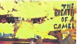 The Breath of a Camel (eBook, ePUB)