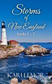Storms of New England (eBook, ePUB)