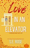 Love in an Elevator (eBook, ePUB) Love in an Elevator (eBook, ePUB)