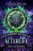 Afterlife (Aftermore Academy, #1) (eBook, ePUB)