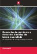 Remoção de potássio e ferro em... - Bild 1
