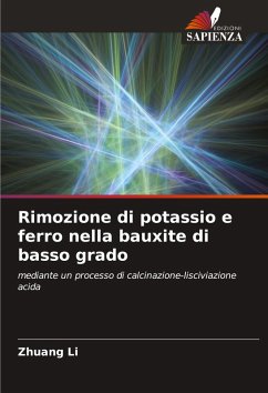 Rimozione di potassio e ferro nella bauxite di basso grado - Li, Zhuang