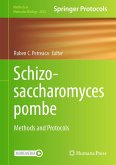 Schizosaccharomyces pombe (eBook, PDF)
