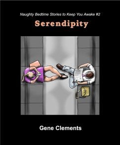 Cover Serendipity (Naughty Bedtime Stories to Keep You Awake, #2) (eBook, ePUB)