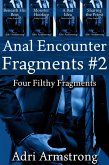 Anal Encounter Fragments #2 (Filthy Fragments, #2) (eBook, ePUB) Anal Encounter Fragments #2 (Filthy Fragments, #2) (eBook, ePUB)