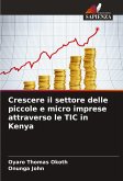Crescere il settore delle piccole e micro imprese attraverso le TIC in Kenya