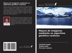 Cover Mejora de imágenes mediante un algoritmo genético continuo