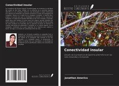 Conectividad insular - Americo, Jonathan