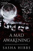 A Mad Awakening (eBook, ePUB)
