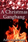 A Christmas Gangbang (A Kinky Collection, #7) (eBook, ePUB) A Christmas Gangbang (A Kinky Collection, #7) (eBook, ePUB)