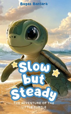 Cover Slow but Sure (eBook, ePUB)
