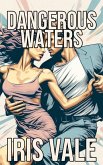 Dangerous Waters (eBook, ePUB)