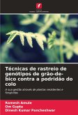 Técnicas de rastreio de genótipos de grão-de-bico contra a podridão do colo Técnicas de rastreio de genótipos de grão-de-bico contra a podridão do colo