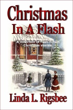 Cover Christmas In A Flash (eBook, ePUB)