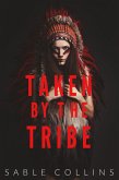 Taken By The Tribe (eBook, ePUB)