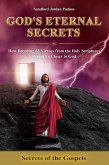 Secrets of the Gospels: How Decoding 63 Virtues from the Holy Scriptures Brings Us Closer to God (eBook, ePUB) Secrets of the Gospels: How Decoding 63 Virtues from the Holy Scriptures Brings Us Closer to God (eBook, ePUB)