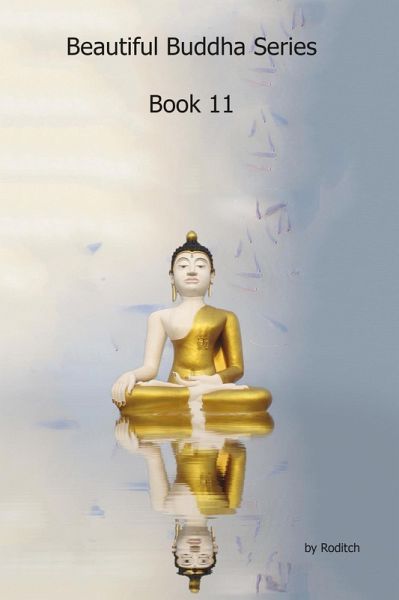 Beautiful Buddha Series Book11 (eBook, ePUB)