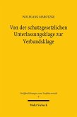 Von der schutzgesetzlichen Unterlassungsklage zur Verbandsklage (eBook, PDF)