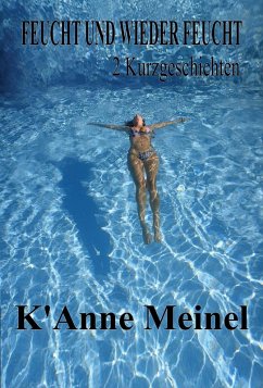 Feucht und Wieder Feucht (eBook, ePUB) - Meinel, K'Anne