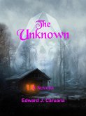 The Unknown (A Novella) (eBook, ePUB)