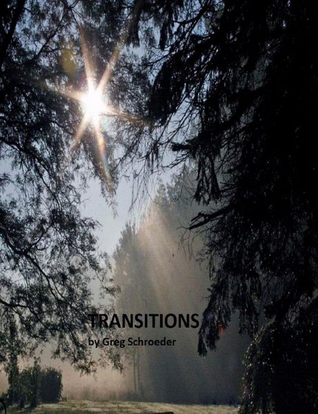 Transitions (eBook, ePUB)