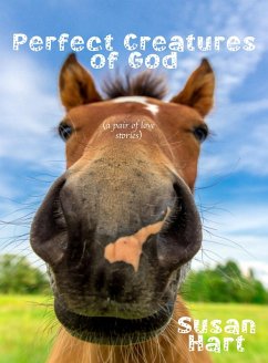 Cover Perfect Creatures of God (a pair of love stories) (eBook, ePUB)