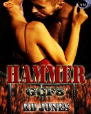 Hammer (Galactic Cage Fighter Series Book 5) (eBook, ePUB)