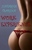 Work Experience (eBook, ePUB)