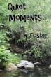 Quiet Moments (eBook, ePUB) - Bild 1