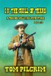 In The Chill Of Texas (Toombs Sullivan,... - Bild 1