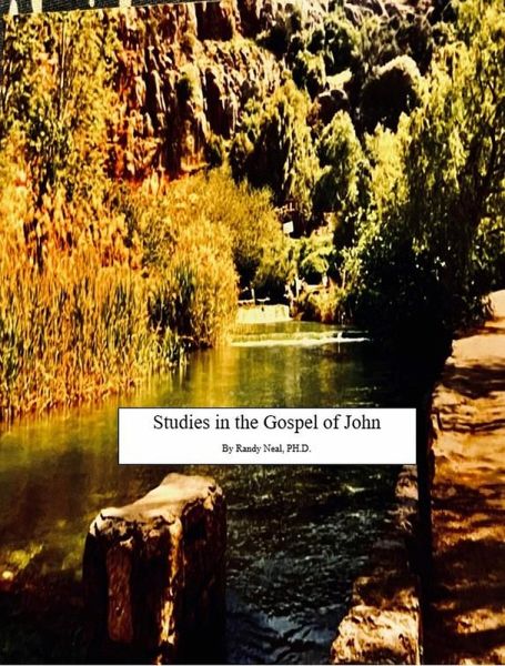 Studies In The Gospel Of John (eBook, ePUB)