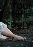 Your Little Faery (eBook, ePUB) Your Little Faery (eBook, ePUB)