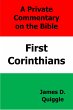 A Private Commentary on the Bible:... - Bild 1