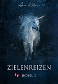 Zielenreizen 1 (eBook, ePUB)
