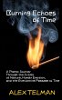 Burning Echoes of Time (eBook, ePUB) - Bild 1
