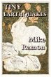 Tiny Earthquakes (eBook, ePUB) - Bild 1