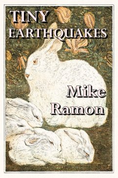 Cover Tiny Earthquakes (eBook, ePUB)