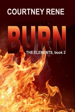 Cover Burn (eBook, ePUB)