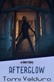 Afterglow (eBook, ePUB) Afterglow (eBook, ePUB)